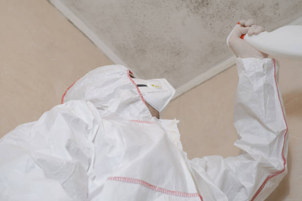 Best Affordable Mold Removal  in Keokea, HI